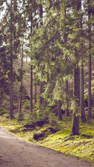 企业网站建设排名官网截图1