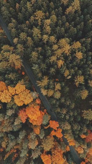 秦皇岛seo优化截图1