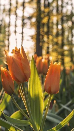 六安网站建设截图1