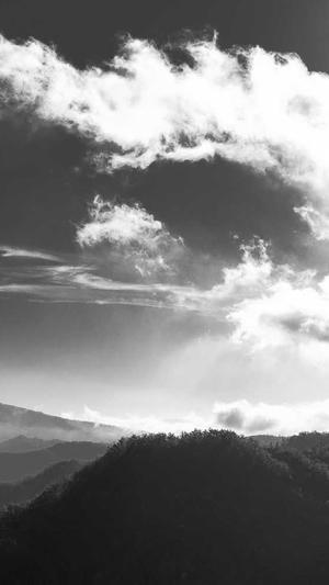 seo外链推广截图2