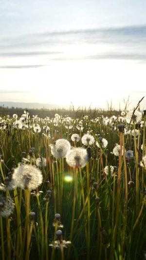 北京网站的建设公司截图5