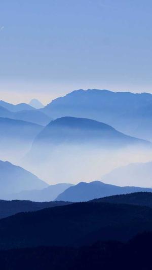 品牌网站建设截图4