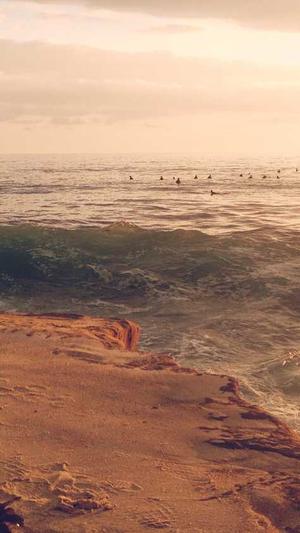 智能seo工具截图4