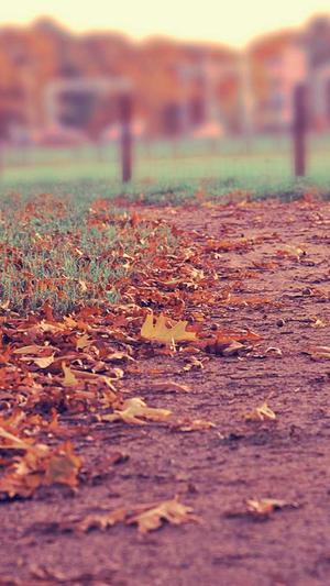 上海网站建设设计公司截图1