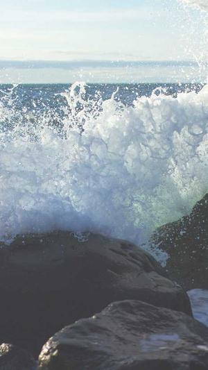 成都网站建设招聘截图3