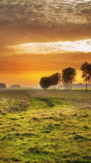 泛目录谷歌截图3