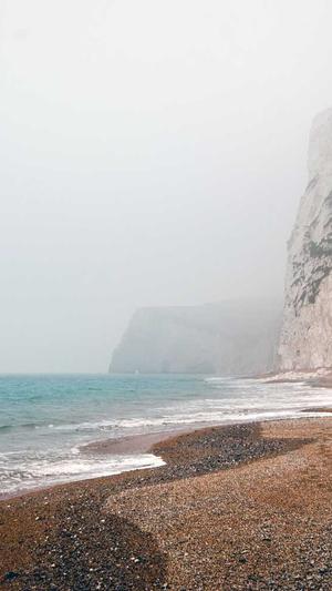 域名seo查询工具截图1