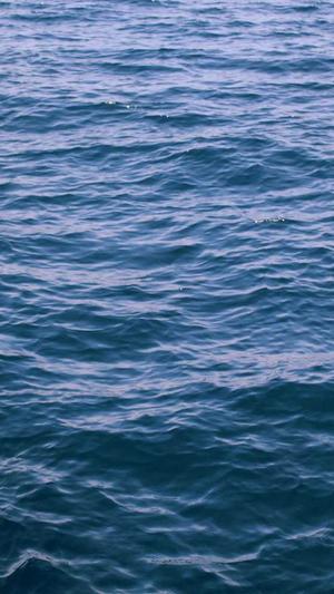 seo站长工具5118截图2