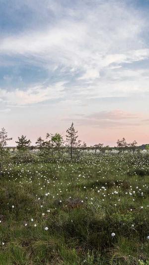 贵阳网站建设截图2