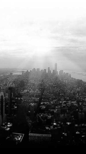 无锡快速seo推广工具截图3