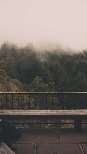 泛目录站群如何优化截图2