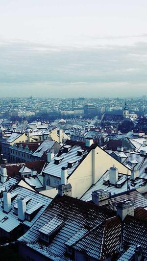 泛目录排名原理截图2