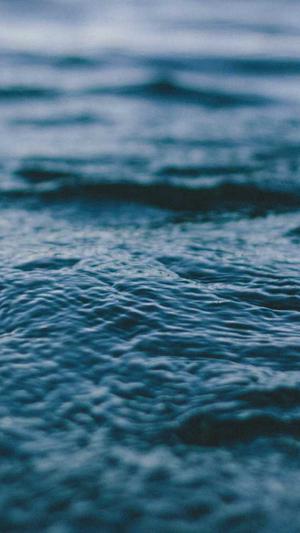 无锡快速seo推广工具截图4