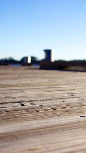 小强泛目录怎么样截图2