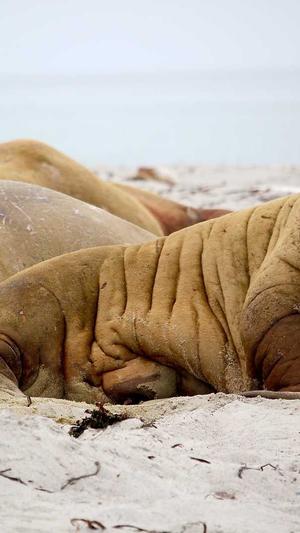 seo网站推广截图5