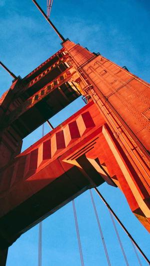 网站建设论坛截图2