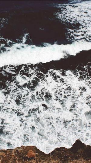 顺德网站建设截图3