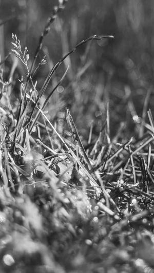 东莞seo优化截图1