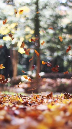 建设通网站截图3