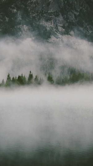 莱芜网站建设截图1