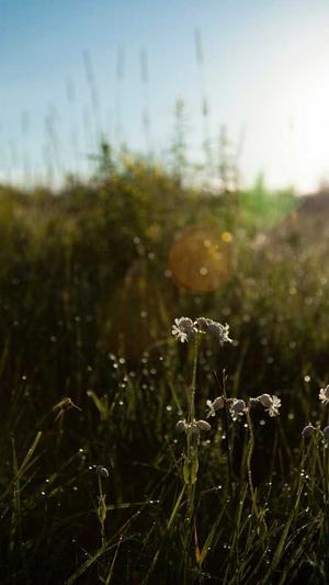 seo入门书籍截图1