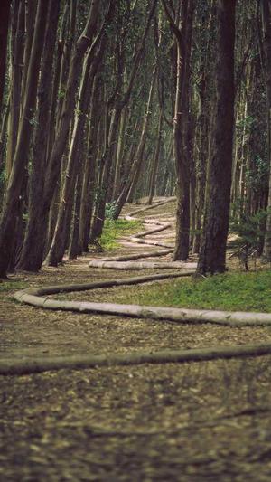 郴州网站建设截图4