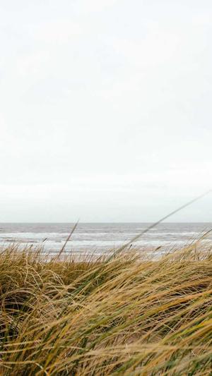 seo查询 站长工具截图2