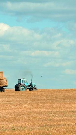搭建蜘蛛池多少钱一平截图3