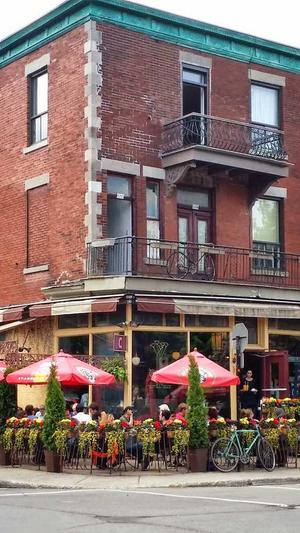 搜狗收录蜘蛛池排名截图4