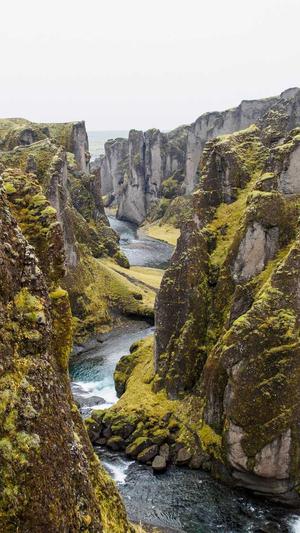 蜘蛛池优化seo平台截图3