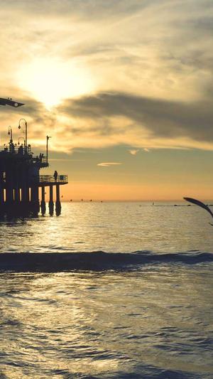 浙江蜘蛛池出租服务截图4