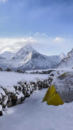 蜘蛛池优化seo平台截图2