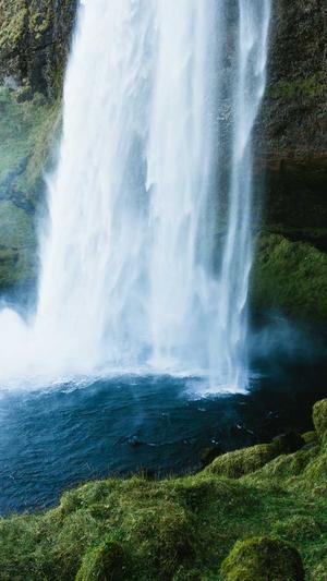 免费体验蜘蛛池游戏截图3