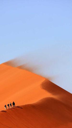 杭州seo工具截图4