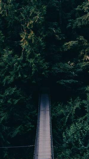 包头市网站建设截图3