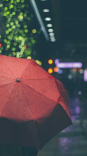 上海专业网站建设价格截图2