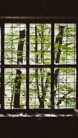 秦皇岛seo优化截图4