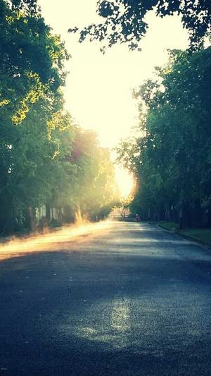 百度seo工具排名截图3