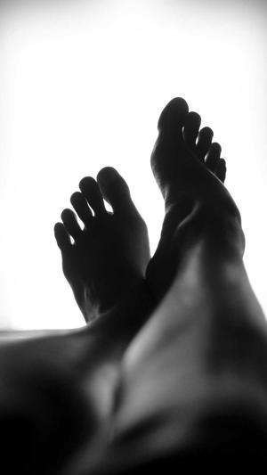 泛目录小说截图3