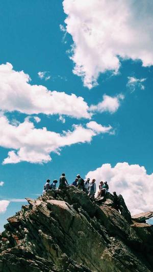 蜘蛛池搭建步骤图解截图3