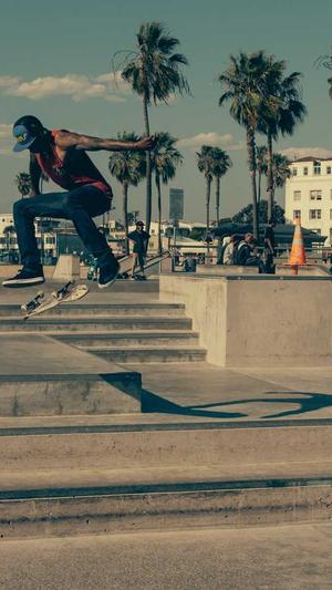 西藏蜘蛛池出租截图2