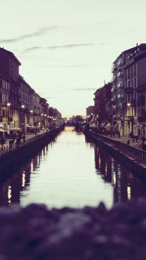 逆冬seo工具截图4