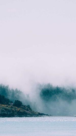 泛目录推广接单打广告截图3