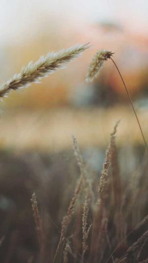 上海网站建设电话截图1