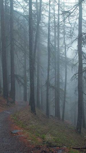 青岛seo工具截图1