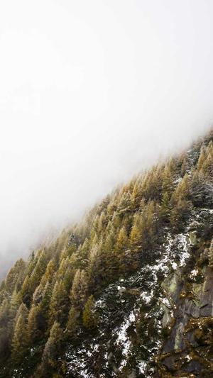 seo优化工具是什么截图4