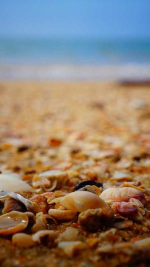 seo常用的优化工具引流截图3