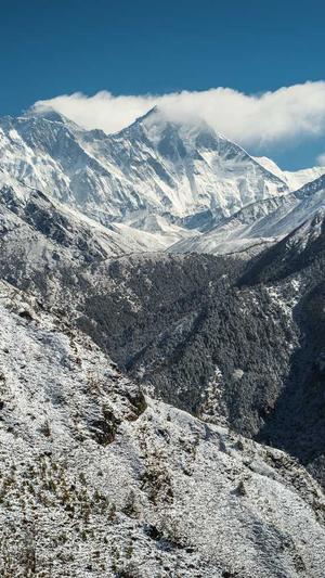 域名seo查询工具截图3