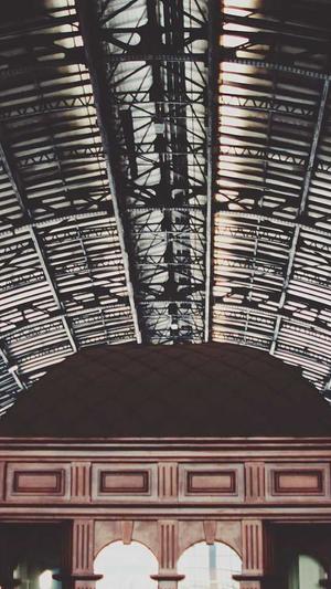 蜘蛛池还有效果吗截图4