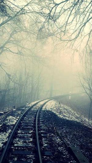 排名精灵SEO网站优化百度站长工具截图5